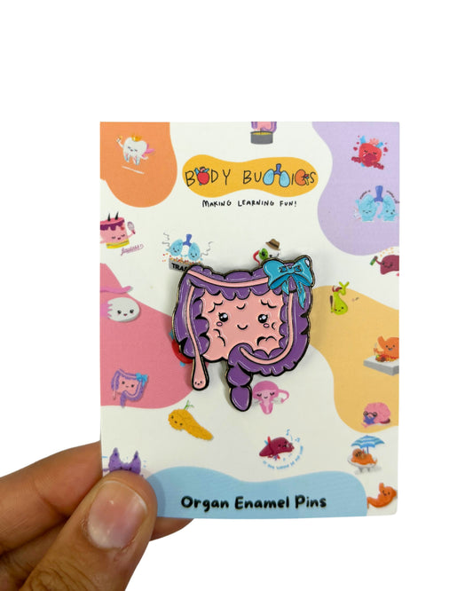 Duodena the Intestines Pin