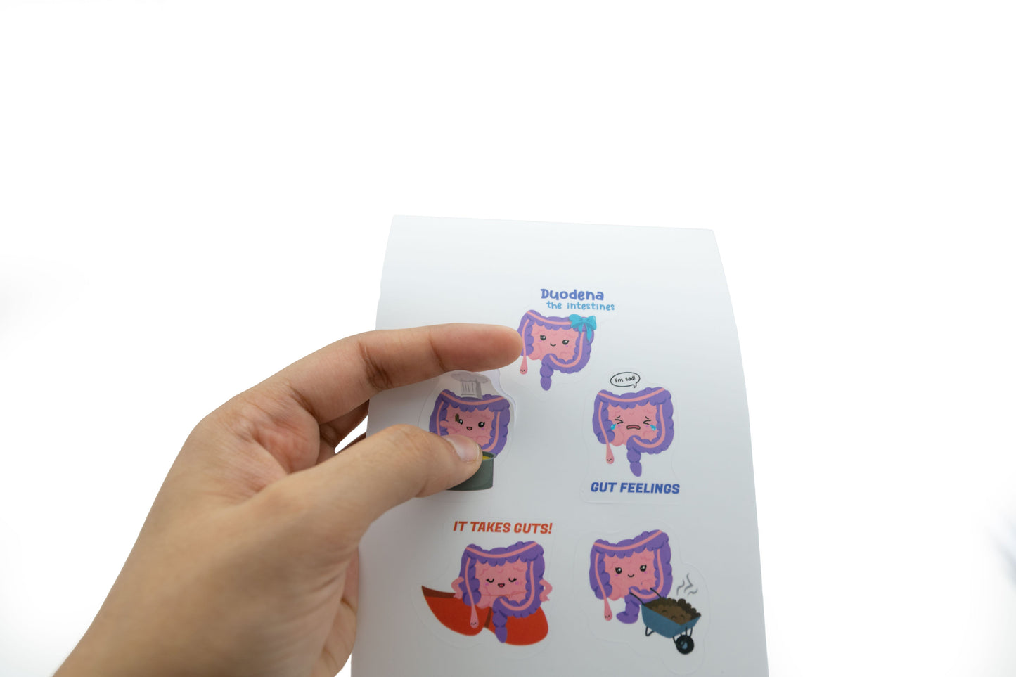 Duodena the Intestines Stickers