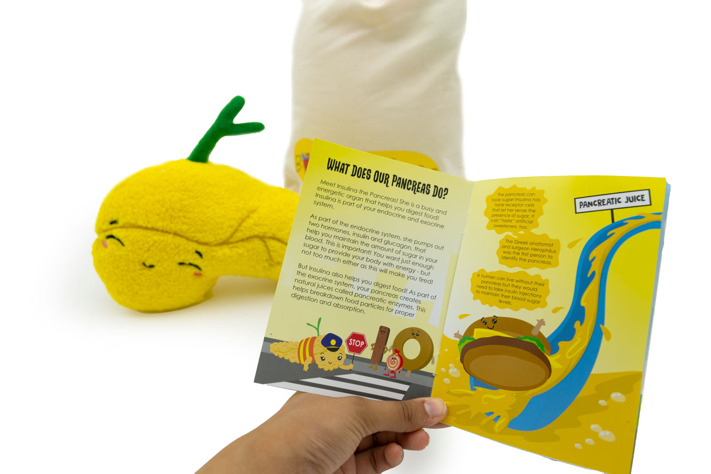 Insulina the Pancreas Gift Pack