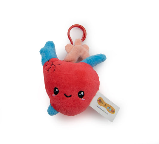 Aortina the Heart Keychain