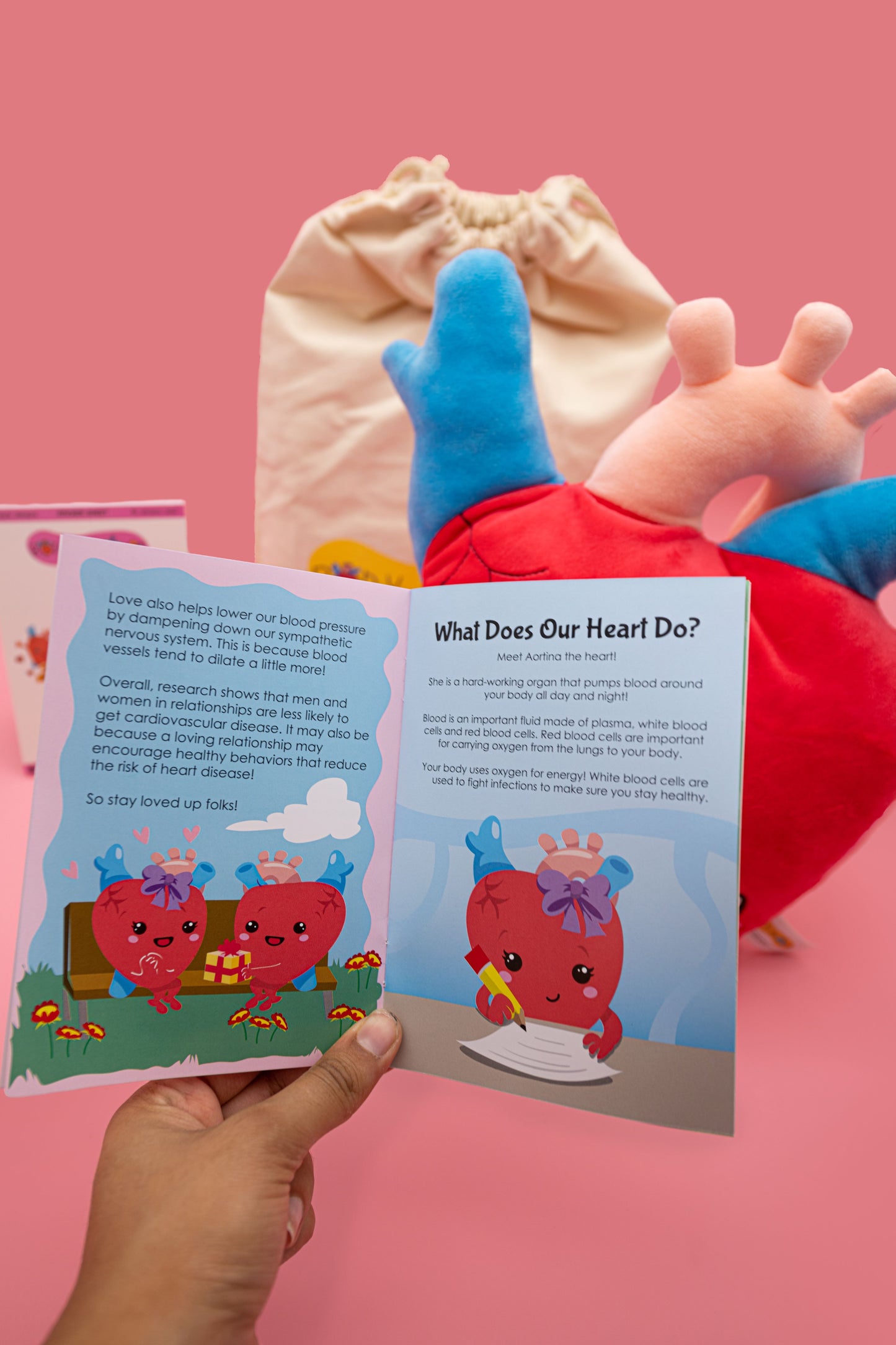 Limited Love Edition: Aortina the Heart Plushie