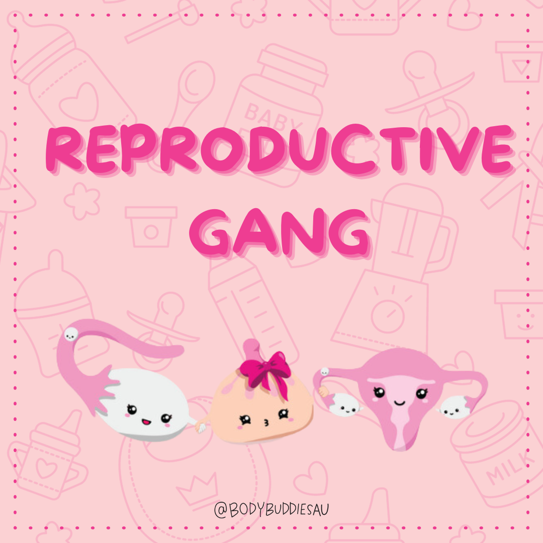 Reproductive Room🤰🤱