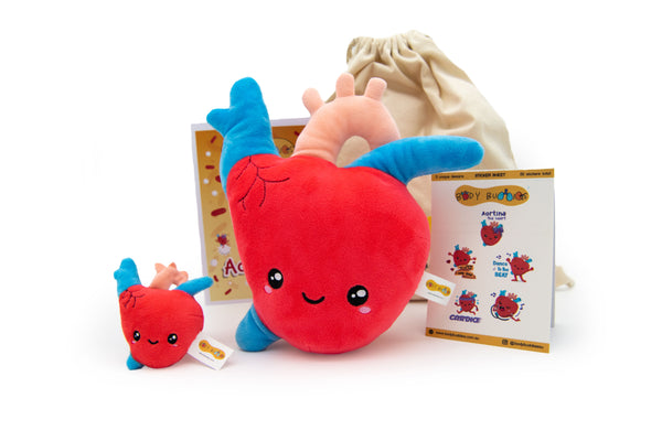 Aortina the Heart