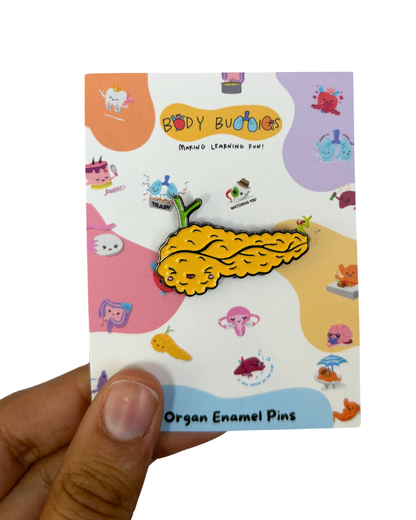 Insulina the Pancreas Pin – Body Buddies Australia