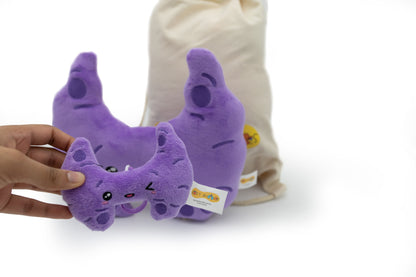 Ty the Thyroid Gift Pack