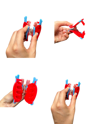 Aortina the Heart Hair Clip