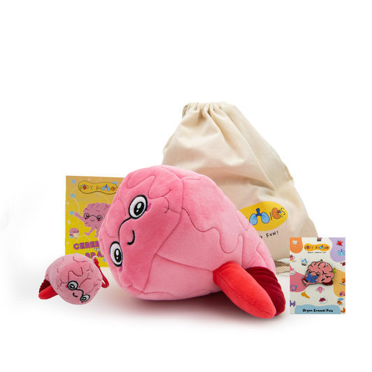 Cerebella the Brain Gift Pack