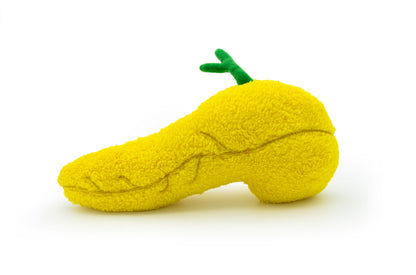 Insulina the Pancreas Plushie