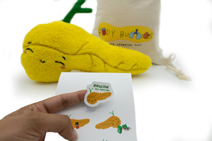 Insulina the Pancreas Stickers
