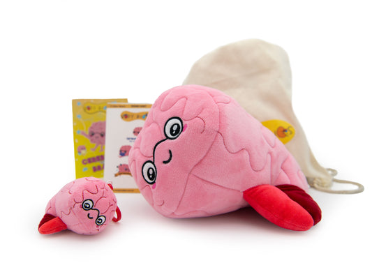 Cerebella the Brain Gift Pack