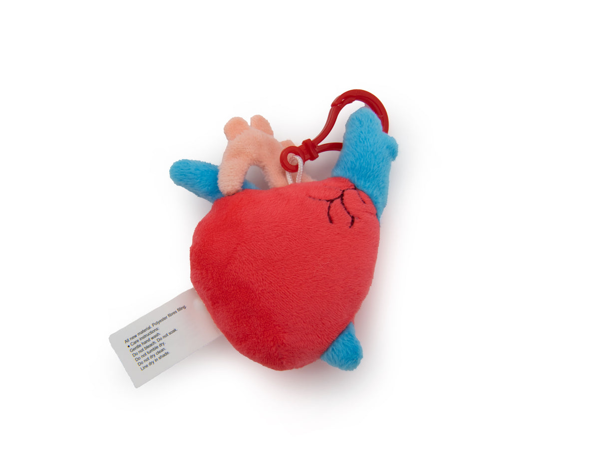 Aortina the Heart Keychain